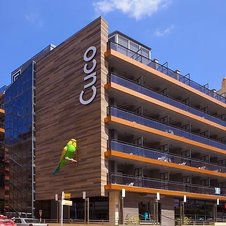 Cuco 3* 貝尼多姆