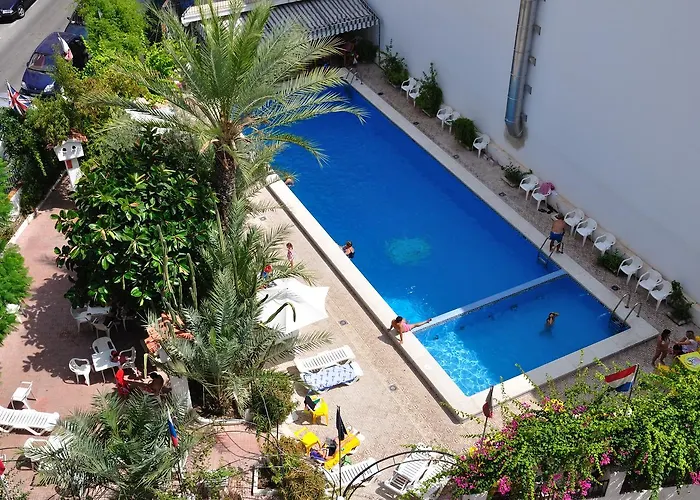 Cuco Hotell Benidorm